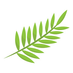 Green palm leaf with leaflets. Vector