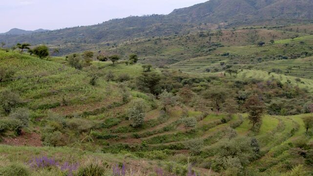 The terraced farm fields on the Konso region of Southern Ethiopia.