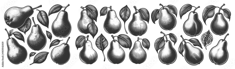 Aufkleber pear set collection bundle sketch engraving generative ai vector illustration. scratch board imitati