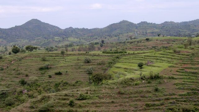 The terraced farm fields on the Konso region of Southern Ethiopia. The Konso region of Ethiopia is a UNESCO cultural heritage site.