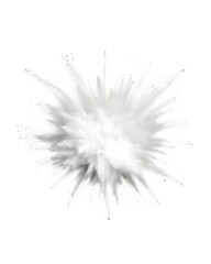 A grayscale image of a powder explosion, resembling a starburst effect against a white background