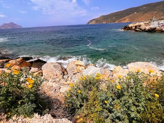 Scenic Coastal View with Rocky Shoreline and Vibrant Yellow Flowers Under a Clear Blue...