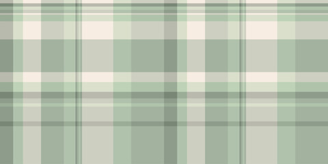 Conceptual background check pattern, gift tartan plaid textile. Duvet fabric texture vector seamless in pastel and pastel grey colors.