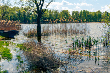 Wielkopolska - wiosna nad jeziorem © Grzegorz Polak