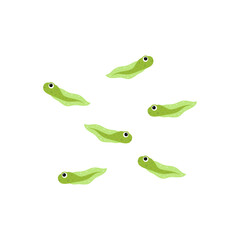 Cartoon green tadpole. Water animal flat vector illustration