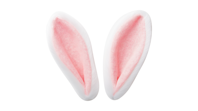 Cute Bunny Ears