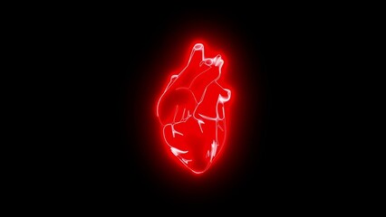 Glowing red anatomical heart illustration on black background