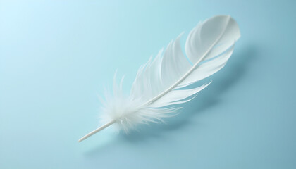 Obraz premium white feather isolated on white