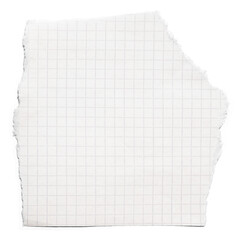Grid Paper Fragment: A close-up shot captures a torn piece of grid paper, revealing the textures of...