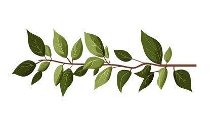 Detailed illustration of a leafy branch against a white background.