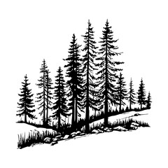 Black and White Pine Tree Silhouette of a Majestic Forest