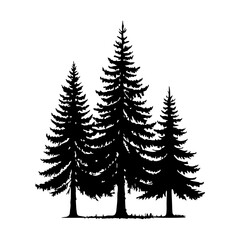 Silhouette of Three Pine Trees