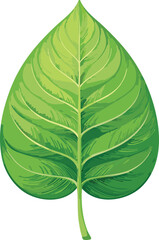 Detailed Leaf with Visible Veins Vector - Isolated Nature Illustration - Scientific Plant Anatomy - Organic Foliage Graphic - Realistic Botanical Art