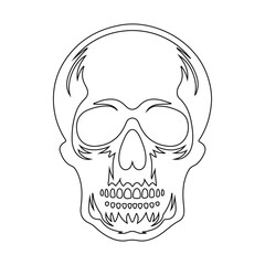 a human skull outline