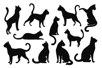 Feline Silhouette Set – Cat Poses and Tail Vector Collection