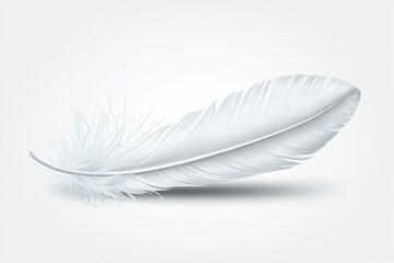 Obraz premium Soft, white feather, elegant and delicate