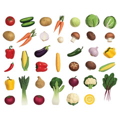 Set of Fresh Colorful Vegetables – Vector Illustration Collection on White Background