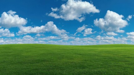 Expansive green grassland under a vibrant blue sky with fluffy white clouds during daylight