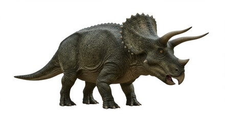 Obraz premium Majestic Triceratops Roaming in Prehistoric Landscape An Imposing Herbivore Dinosaur with Horns Frill a Powerful Symbol of the Cretaceous Era Wildlife