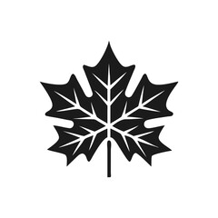 Maple Leave Silhouette maple leaf icon illustration vector Maple leaf outline vector illustration