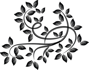 Elegant Black and White Floral Vine Design with Intricate Leaf Details