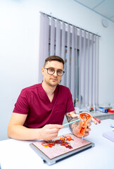 Doc shows anatomy model. A man in scrubs explains an anatomy model in a clinical setting,...