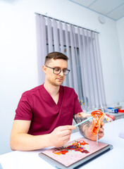 Doc showing anatomy model. A medical professional examines a colorful anatomy model while seated at a well-lit workspace during the day.