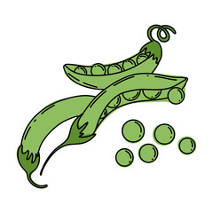 Peas colorful line art illustration.