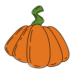 Pumpkin colorful line art illustration.