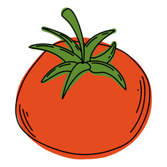 Tomato colorful line art illustration.