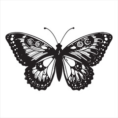 Butterfly Vector