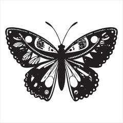 Butterfly Vector