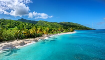 tranquil caribbean beach with palm trees turquoise water and lush green hills