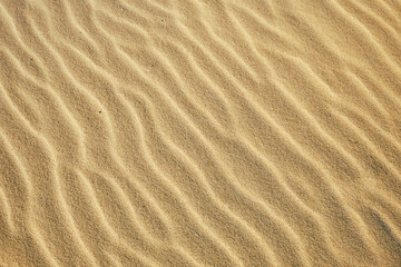 Abstract sand texture background with wave lines for template or backdrop