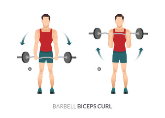 Obraz premium BARBELL BICEPS CURL, Men GYM workout fitness, aerobic and exercises.