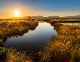 golden hour over wetland channels and reflective water