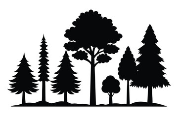 Pine Tree Silhouettes – Evergreen Forest Firs and Spruce Vector Set