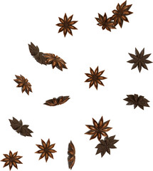 Falling Star Anise Seasoning