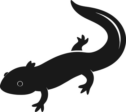 Hellbender Salamander icon Silhouette vector on transparent background