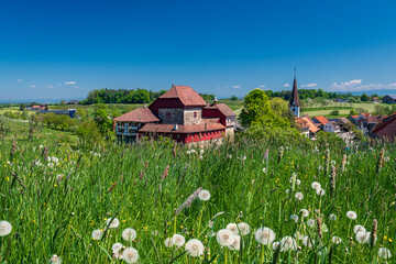 Fototapete bei efototapeten.de bestellen   