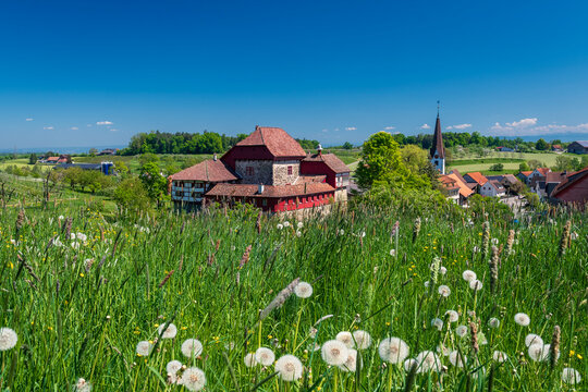Alpine springtime meadows with Hagenwil Castle at Amriswil in the Canton of Thurgau in Switzerland
