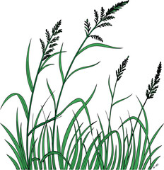 green grass vector illustration