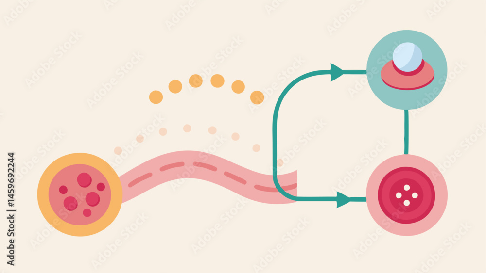 Aufkleber healing pathway a pathway diagram showing how exosomes travel from application site to tissue layers