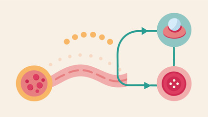 Healing Pathway A pathway diagram showing how exosomes travel from application site to tissue layers activating healing processes in various skin cells.