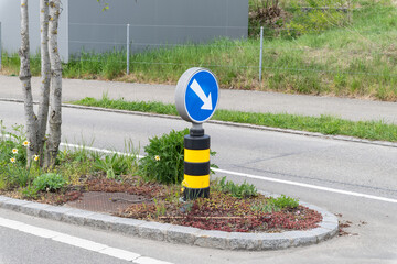 A traffic sign with a blue arrow pointing down, surrounded by plants in a rural setting next to a road.