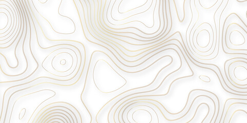 Abstract white colorful golden Topographic line map background. Contour elevation topographic and textured Background Modern design with White background with topographic wavy pate for decoration.	
