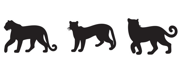 Leopard silhouette in walking motion sequence, showcasing elegant and stealthy movement in three distinct poses