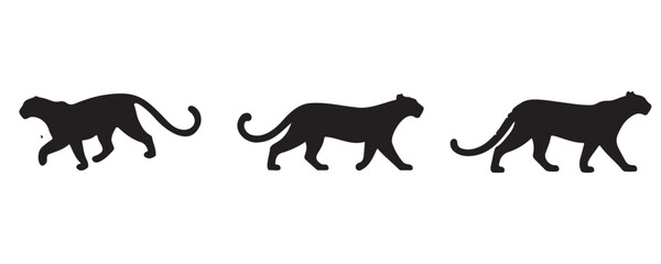 Silhouettes of a leopard walking in three different poses, illustrating motion or a walk cycle, isolated on a white background