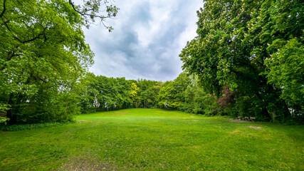 Clearing in lush spring forest under cloudy sky, Germany..