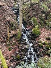 waterfall in the forest